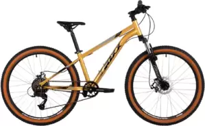 Foxx Caiman JR 24 2025 (золотистый)