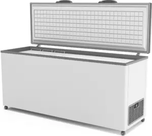 Морозильник Frostor F 700 S фото