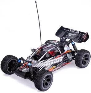 Радиоуправляемый автомобиль FS Racing Raptor EP Buggy 1/10 фото