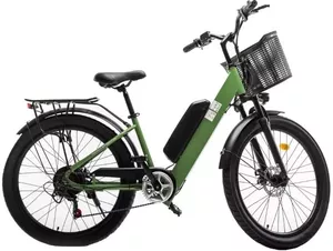 Электровелосипед Furendo E-Butterfly 350 (зеленый) фото