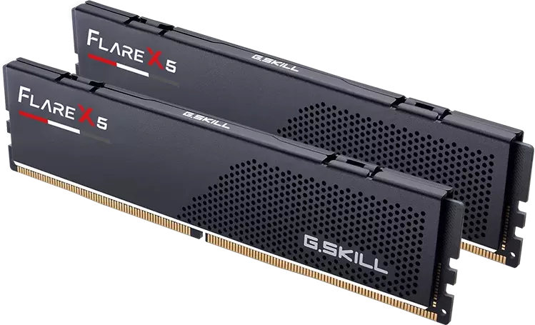 Оперативная память G.Skill Flare X5 2x64ГБ DDR5 6000 МГц F5-6000J3644D64GX2-FX5 фото