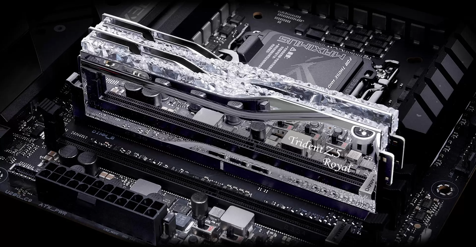 Оперативная память G.Skill Trident Z5 Royal 2x16ГБ DDR5 6800 МГц F5-6800J3445G16GX2-TR5S фото