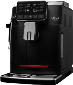 Кофемашина Gaggia Cadorna Plus 9602/01 фото