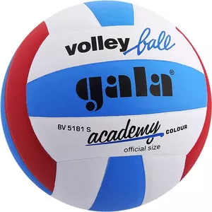 Волейбольный мяч Gala Academy BV 5181 S (5 размер, белый/синий/красный) фото