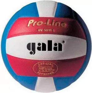 Мяч волейбольный Gala Pro-Line BV 5091 S фото