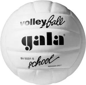 Мяч волейбольный Gala School BV 5031 S фото