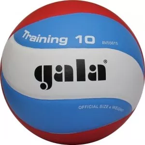 Мяч волейбольный GALA Training 10 (BV5561S) фото