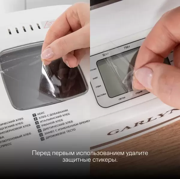 Хлебопечка Garlyn BR-900 фото