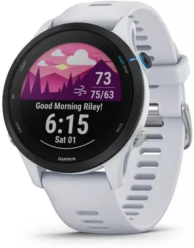 Garmin Forerunner 255 Music 46 мм (белый)