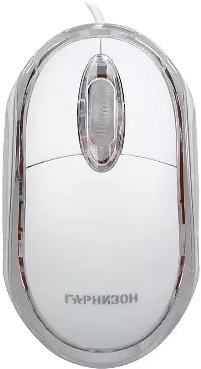Гарнизон GM-100W