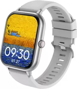 Умные часы Geozon Partner (серебристый) icon