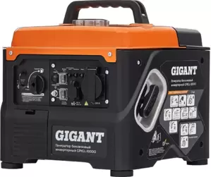Бензиновый генератор Gigant GPIGL-1000O фото