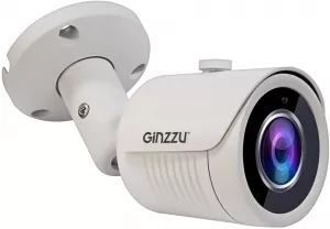 CCTV-камера Ginzzu HAB-5031A фото