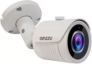 IP-камера Ginzzu HIB-2032S фото