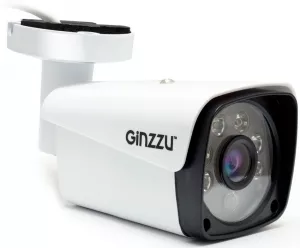 IP-камера Ginzzu HIB-5301A фото