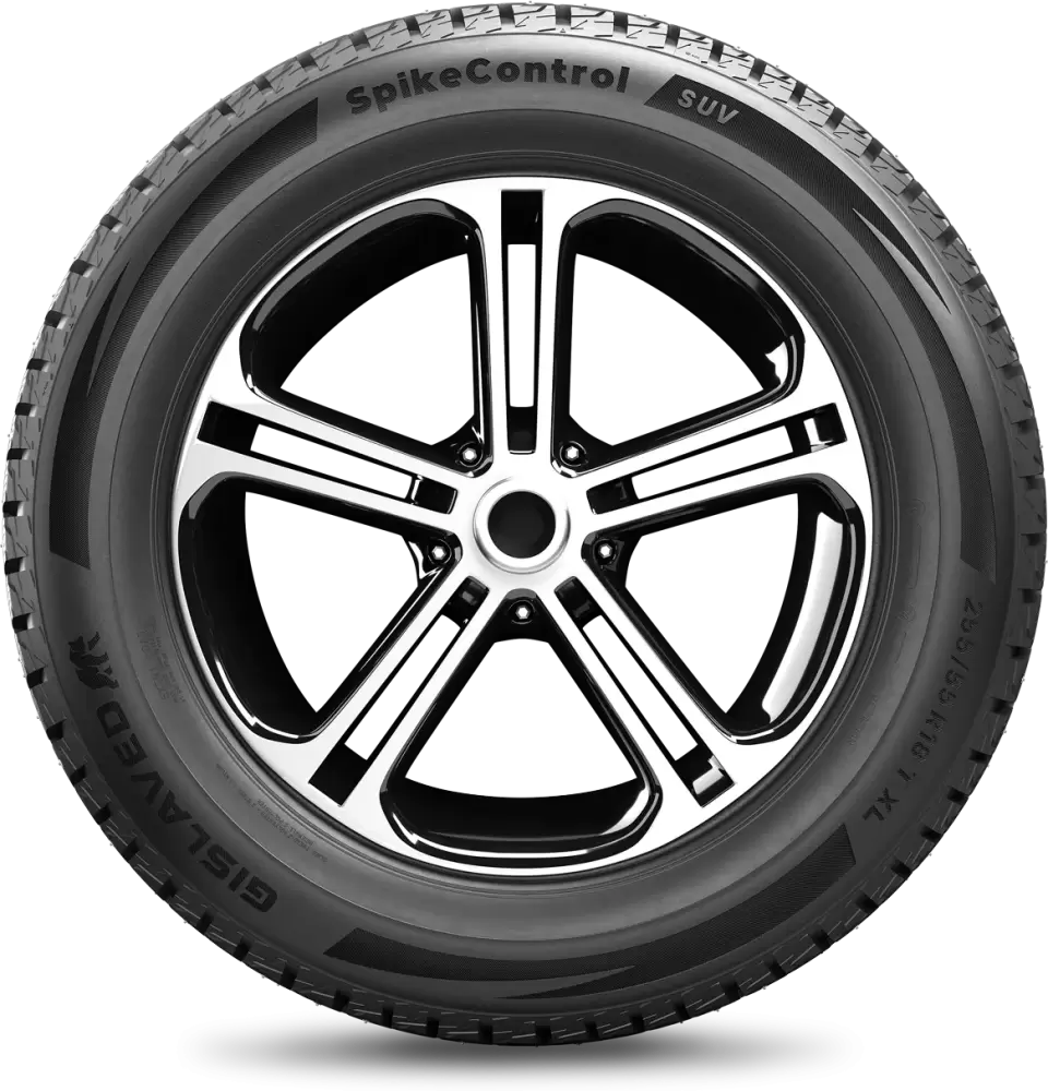 Зимняя шина Gislaved SpikeControl 225/60R18 104T фото