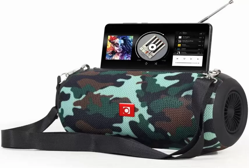 Беспроводная колонка GMB Audio SPK-BT-17-CM фото