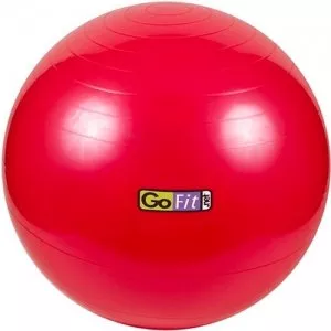 Мяч гимнастический Go Fit GF-55BALL фото