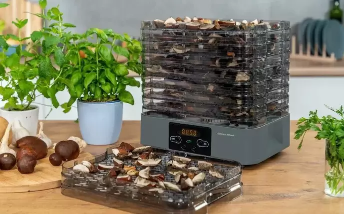 Сушилка для овощей и фруктов Goetze &#38; Jensen FD800  фото