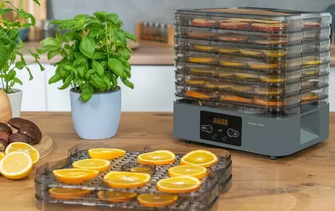 Сушилка для овощей и фруктов Goetze &#38; Jensen FD800  фото