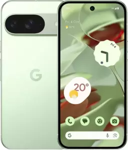 Смартфон Google Pixel 9 12GB/128GB (винтергрин) icon