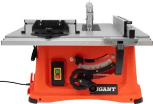 Распиловочный станок Gigant TSJ-254-2050 фото