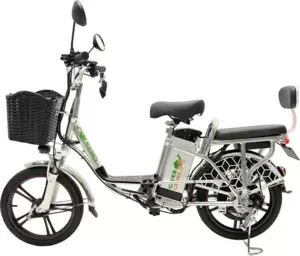Электровелосипед GreenCamel Транк 18 V8 (R18 250Вт 60В 10Ач) фото