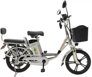 Электровелосипед GreenCamel Транк 18 V8 DD R18 250W 60v 20Ah (гидравлика) фото
