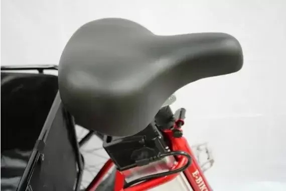 Электровелосипед GreenCamel Трайк-F20 фото