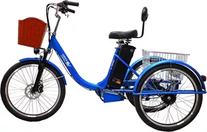 Электровелосипед GreenCamel Trike-24 R24 (250W 48V 10Ah синий) фото