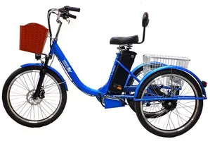 Электровелосипед GreenCamel Trike-B R24 (500W 48V 20Ah синий)  фото