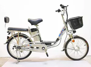 Электровелосипед GreenCamel Trunk R20 (250W 48V 10Ah) Alum фото