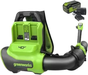 Воздуходувка Greenworks GD40BPG2K4 2408107UB (с 1-им АКБ) фото