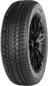 Зимняя шина Gripmax SureGrip eWinter 205/40R17 84V фото