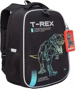 Grizzly RAw-595-1 (черный/бирюзовый)