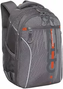 Школьный рюкзак Grizzly RB-359-1 (серый) фото