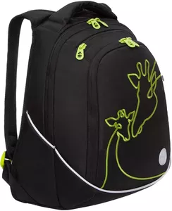 Школьный рюкзак Grizzly RD-246-1 (черный) фото
