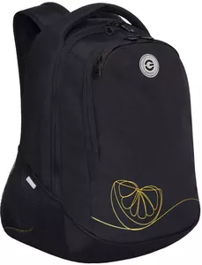 Школьный рюкзак Grizzly RD-340-2 (черный) фото