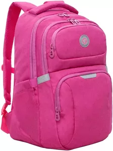 Школьный рюкзак Grizzly RD-342-2 (розовый) фото