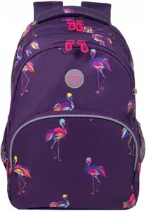 Школьный рюкзак Grizzly RG-260-4 фламинго фото