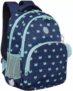 Школьный рюкзак Grizzly RG-360-5 (синий/мятный) фото