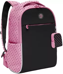 Школьный рюкзак Grizzly RG-367-2 (синий/розовый) фото