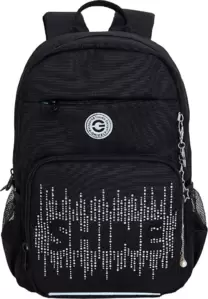 Школьный рюкзак Grizzly RG-464-3f (черный/серебряный) фото