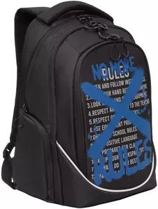 Школьный рюкзак Grizzly RU-335-2 (черный/синий) фото
