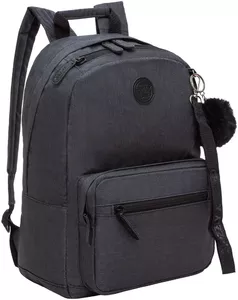 Городской рюкзак Grizzly RXL-321-1 (черный) фото
