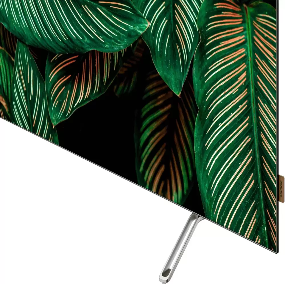 Телевизор Grundig 65 OLED GH 9500 65" фото