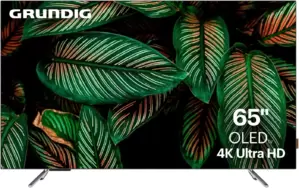 Телевизор Grundig 65 OLED GH 9500 65" фото
