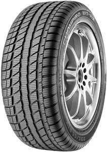 Зимняя шина GT Radial Champiro WT-AX 225/45R17 94V фото