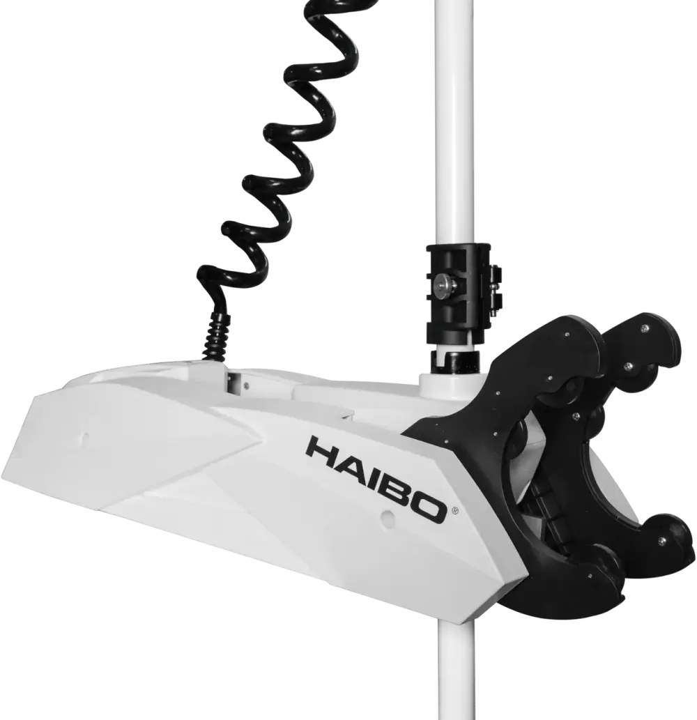 Мотор лодочный Haibo iPenguin P70 фото