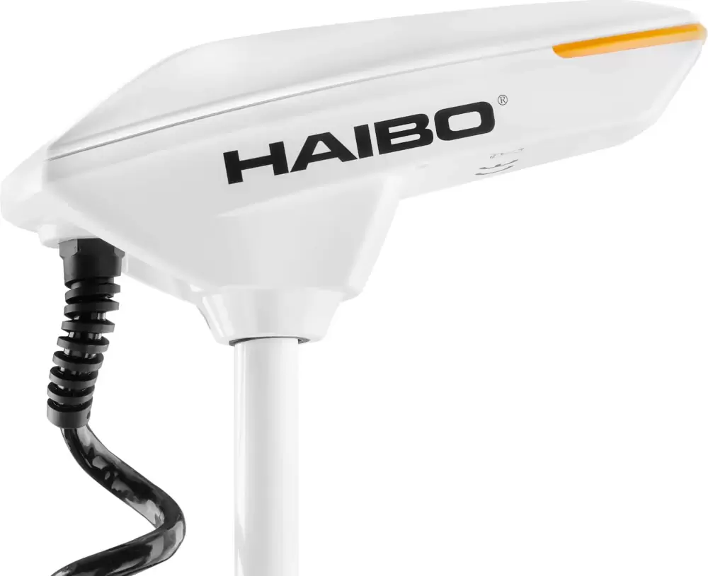 Мотор лодочный Haibo iPenguin P90 фото